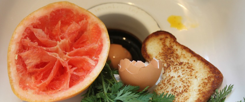 Garbage Disposal Maintenance Tips